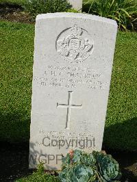 Naples War Cemetery - Shankley, Alexander Henry Cornelius
