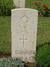 Naples War Cemetery - Treloar, James Dennis