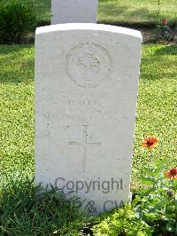 Naples War Cemetery - West, Dewi
