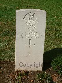 Naples War Cemetery - Youngman, Georgy