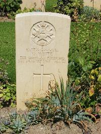 Anzio War Cemetery - White, William