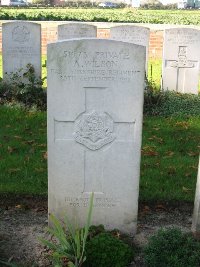 La Kreule Military Cemetery Hazebrouck - Wilson, Albert