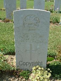 Sangro River War Cemetery - Bradshaw, Stanley Arthur