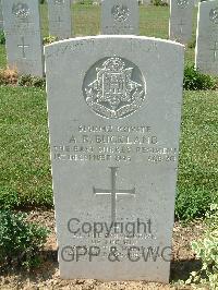 Sangro River War Cemetery - Buckland, Arthur Reginald