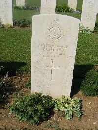 Sangro River War Cemetery - Campbell, Roy