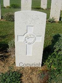 Sangro River War Cemetery - Collins, William Leonard