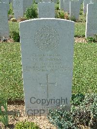Sangro River War Cemetery - Corner, William Dennis