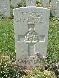 Sangro River War Cemetery - Cox, Arthur Edward