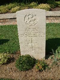 Sangro River War Cemetery - Davey, Edward Charles
