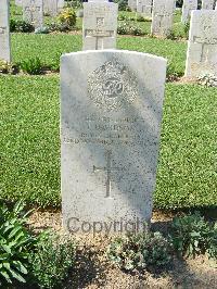 Sangro River War Cemetery - Davidson, James