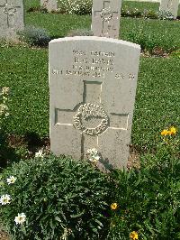 Sangro River War Cemetery - Davis, Daniel George