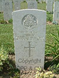 Sangro River War Cemetery - Dibden, Joseph