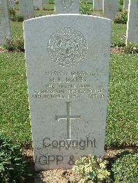 Sangro River War Cemetery - Dobbs, Matthews Lionel