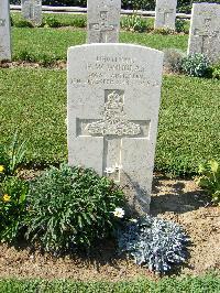 Sangro River War Cemetery - Douglas, Harry Wallis