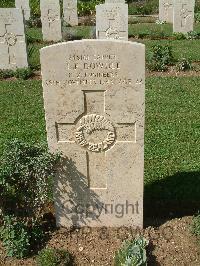 Sangro River War Cemetery - Dowdle, John Frederick