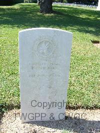 Sangro River War Cemetery - February, P