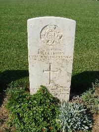 Sangro River War Cemetery - Freeman, James Henry