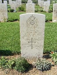 Sangro River War Cemetery - Gibson, Donald