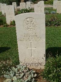 Sangro River War Cemetery - Gray, Gordon Harry