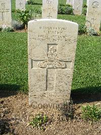Sangro River War Cemetery - Haley, Stanley