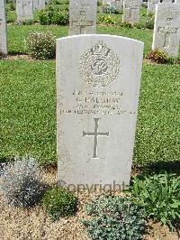 Sangro River War Cemetery - Halliday, George