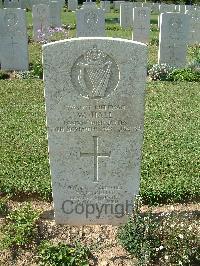 Sangro River War Cemetery - Hall, W
