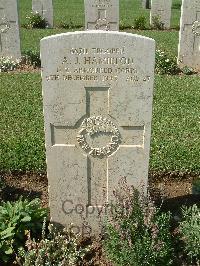 Sangro River War Cemetery - Hamilton, Alexander James