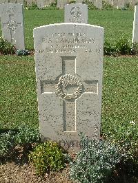 Sangro River War Cemetery - Hargreaves, Frederick Arthur