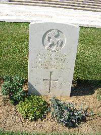 Sangro River War Cemetery - Harvey, Donald Victor