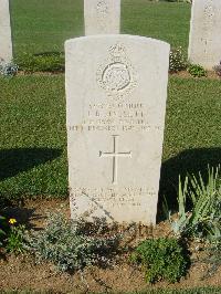 Sangro River War Cemetery - Hassett, James Richard