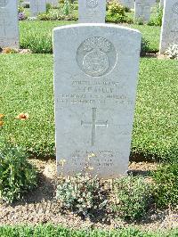 Sangro River War Cemetery - Heasley, Alexander
