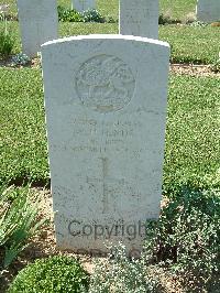 Sangro River War Cemetery - Hinds, William Henry
