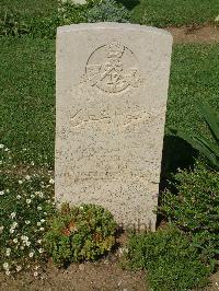Sangro River War Cemetery - Ibrahim, Cook