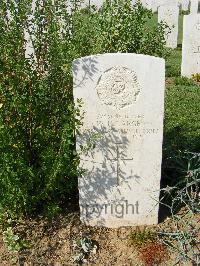Sangro River War Cemetery - Large, William