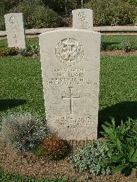Sangro River War Cemetery - Lewis, Donald Peter