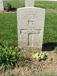 Sangro River War Cemetery - Lewis, Frank