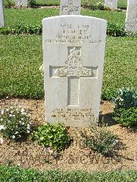 Sangro River War Cemetery - Lilley, Thomas