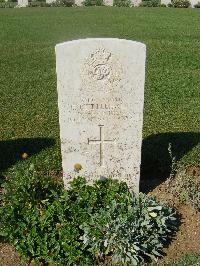 Sangro River War Cemetery - Littlehales, Ernest John