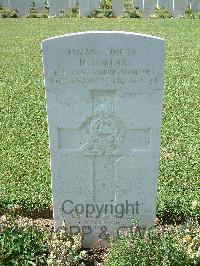 Sangro River War Cemetery - Lomax, Horatio