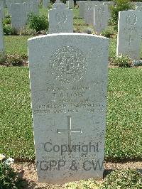 Sangro River War Cemetery - Lowe, Thomas George