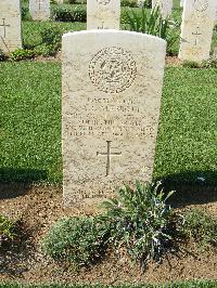 Sangro River War Cemetery - Mabbott, Albert Cecil
