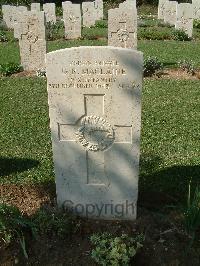Sangro River War Cemetery - MacLaine, Douglas Rayburn