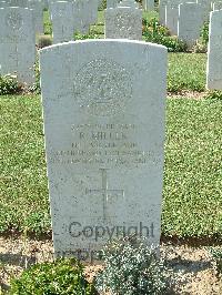 Sangro River War Cemetery - Miller, Ronald