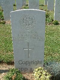 Sangro River War Cemetery - Mitchell, Alfred Henry
