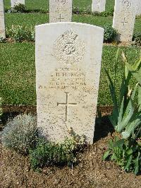 Sangro River War Cemetery - Morgan, Ewart Henry