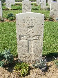 Sangro River War Cemetery - Murray, Harry