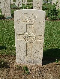 Sangro River War Cemetery - McAleer, Lester