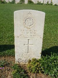 Sangro River War Cemetery - McAvoy, John Joseph