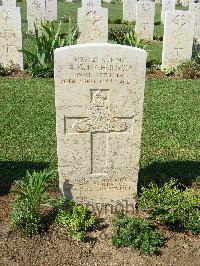 Sangro River War Cemetery - Nicholson, Alfred George