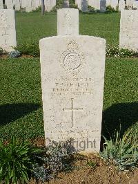 Sangro River War Cemetery - Nicholson, Thomas